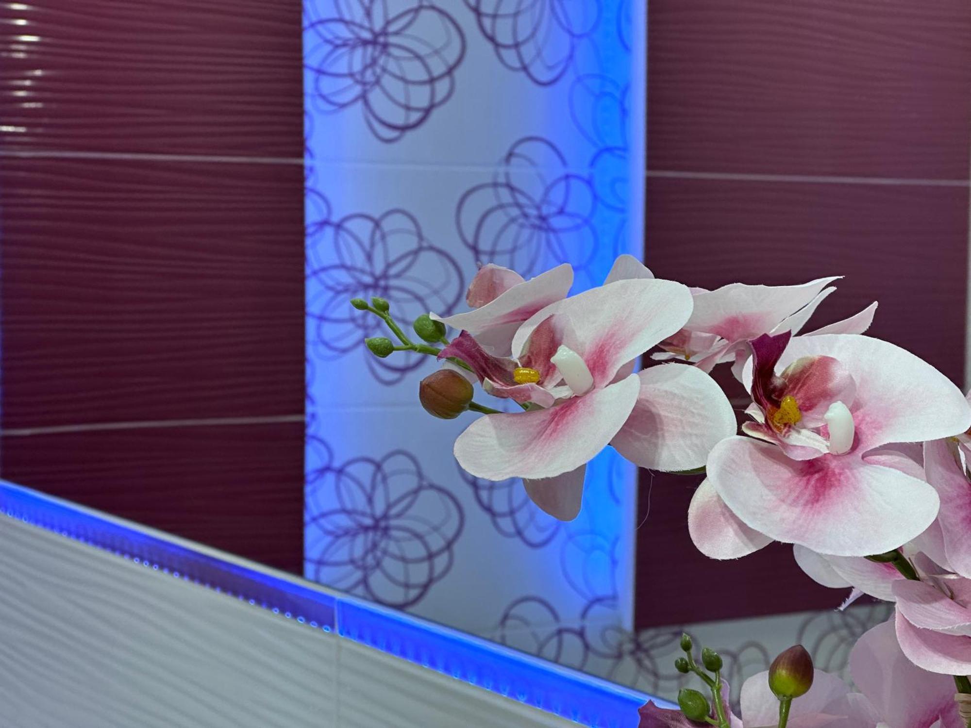 Large, Luxury Condo With Sauna Przemyśl Zewnętrze zdjęcie